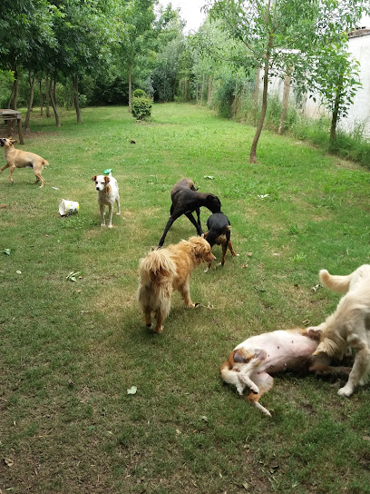 AF1QipM2KJYKVj5 KxjiKpNfKezTC PNI2xmvAJo8RfIw408 h544 k no