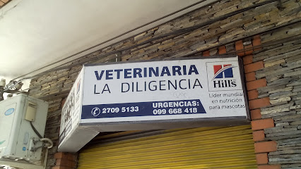 AF1QipM3Ef0Zk 5Osn4nRHBS LGyrpgbMm4Ha17s hJMw426 h240 k no