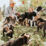 Animal Help Uruguay - Pando 9 AF1QipM3TEgJYHnNs2NX82FkHKu DzO PzClBssgu9Gww408 h272 k no