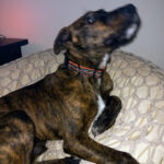 AF1QipM4CDIhdS9sWgbJnZPd2KM0KMHUCsebZNtsk3YDw408 h544 k no