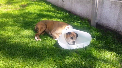 AF1QipM4WUsW99R 0FY5uAfxQj0WaxujKYWD1EvEIkuQw426 h240 k no