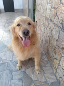 Veterinaria Quirón - Montevideo