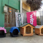 Los canarios de Pando - Pando 8 AF1QipM6o8x 8mFMCuqalnIuUN9h9EsCs9Ah ZKdDczBw408 h306 k no