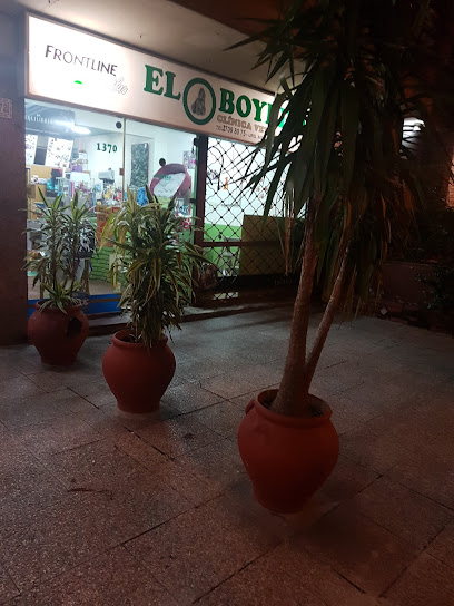 AF1QipM6oeNfGEAJkQNxSQjoYv0AlvpmeFVJycZ6FTVlw408 h544 k no