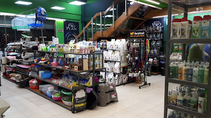 AF1QipM7Xj4fojBWJEdOUtp3pT fnogcb IY6bJCiuHcw426 h240 k no