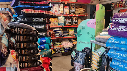 AF1QipM7dhCSQD6erKXGr XeDxLeORLtiVd5DTR457npw426 h240 k no