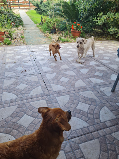 AF1QipM7rsCLO0EWztqPWfRK4Mo13lwB8wyElziB91CJw408 h544 k no