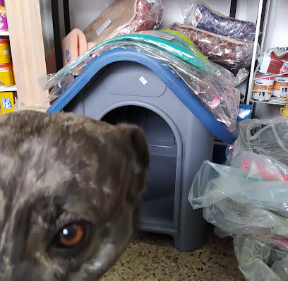 AF1QipMA1TFbDNBf7jQdeStK4 hKI3Gr0iCoCZddupM w408 h398 k no