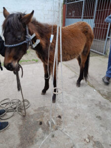 Policlínica Veterinaria Barrios Unidos - Montevideo