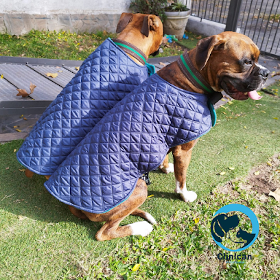 AF1QipMB2OtjXNP UmZ0uX1v3wIAakkjKMC9Hn3R3QQ9w408 h408 k no