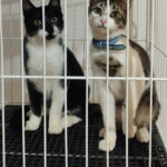 AF1QipMBQB5n3 v udSsfHOyaWmaZPI0begu pZX1Nccw408 h645 k no