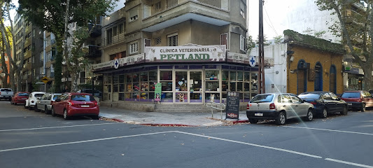 AF1QipMC6 vyQm3j9dUZQNh5NJrSh8U49XrkyySg1Pb9w533 h240 k no