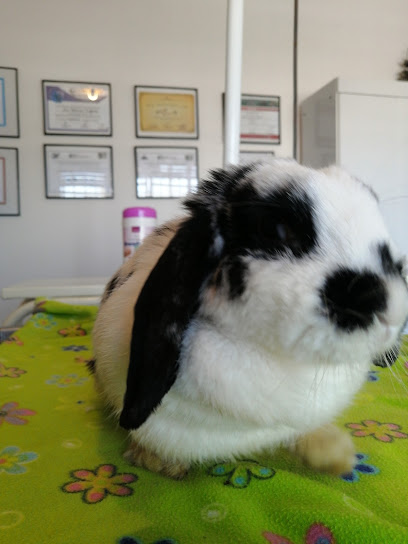 AF1QipMCahhvCyO bsIusCaPhkZ2ILTN ycp2fIpwV Mw408 h544 k no