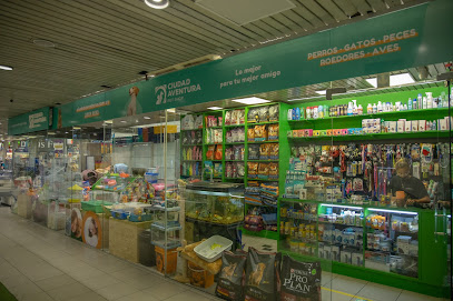 AF1QipMFszjeOnRRIeGh64RysKUePzFHDUIoJghRLj8Aw408 h271 k no