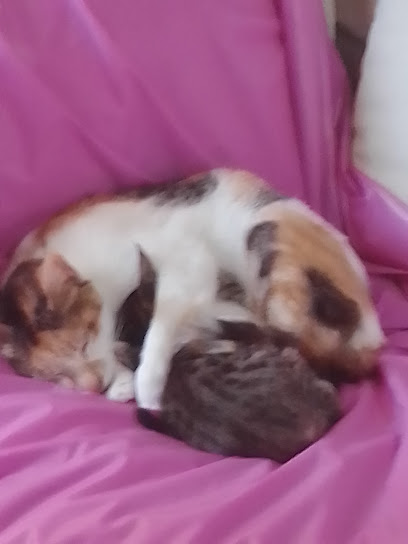 AF1QipMHrhcldXMU9ayFaTZ0Im4f2iJkqsxPDV 452qcw408 h544 k no