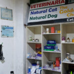 AF1QipMKZRYYtCaWlwrn KpNBWE T1wybgcyffS2gSY5w408 h725 k no