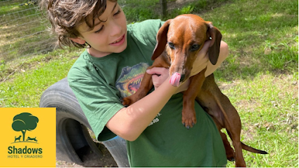 AF1QipMKkyZ0A5S 2oIyKtZaHjqrsrKlJ6rkjV105eunw425 h240 k no