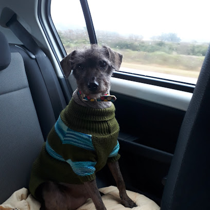 AF1QipMKzPU77udHuVivBub zniWmPlmGNIxgboHSHf9w408 h408 k no