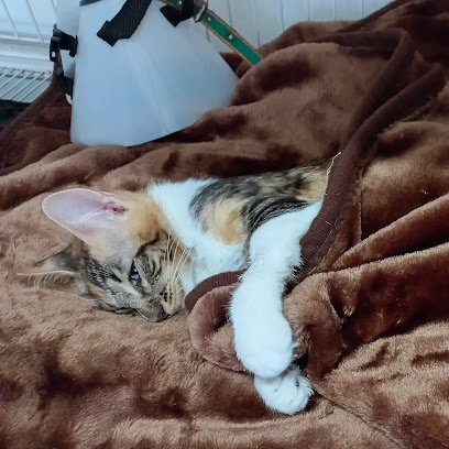 AF1QipML1GfdVLTOUqs G8WtnjTxpLD3SNFMHEKYSLjZw408 h408 k no