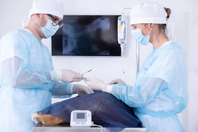 AF1QipML8sUW4q1wKtKEs 0Ou5acdSqKGtxyMIVPPZWUw408 h272 k no