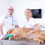 AF1QipMLDgIJS mQ38av SGrmx eh1lY5Kxu q77ddm2w408 h272 k no