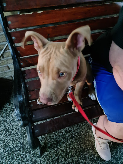 AF1QipMMddDut240NORNTyuU6BKOnjYcnWWGYdXESwArw408 h544 k no