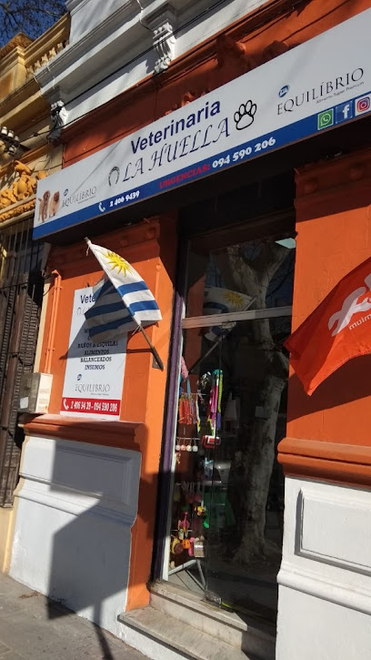 AF1QipMS8nJvSAxwqjgZ8b2bTT mkpaaR 1ng719SFYw408 h725 k no