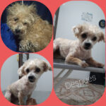 AF1QipMSPAT x2FATKSxAXasp1IaHSI29xIIWjgrwMofw408 h408 k no