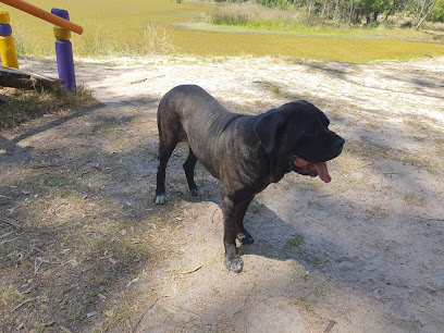 AF1QipMTO5e 3avZPqL2kMSgYGnFZcrEVbKGVyJoj7TIw408 h306 k no