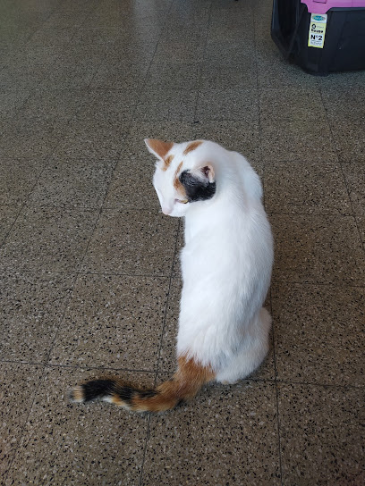 AF1QipMTU 36Ucbe 0z5DIwM9FBQRua7LYDts7P97U2hw408 h544 k no