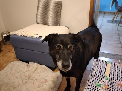 AF1QipMTcole6r u6JHE9 SkZERJTG0KBFWNCFTAaatqw408 h306 k no