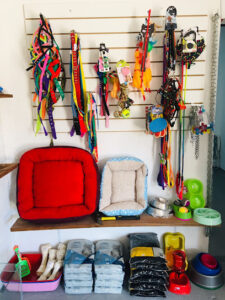 Bienvenidos a Veterinarias Uruguay com – El Mejor Sitio de Veterinarias en Uruguay 33 Animalia - Juanicó