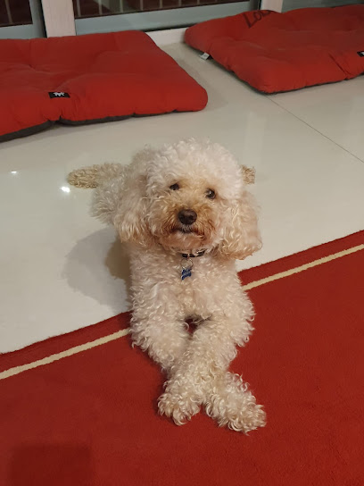 AF1QipMV77GrMvMQ7UQYqWk0xwKzW3UluC5yU3sxW58nw408 h544 k no