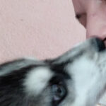 AF1QipMVVPnDuaKBDZawmH9dOVvpGvzR NQOULRKLvZfw427 h240 k no