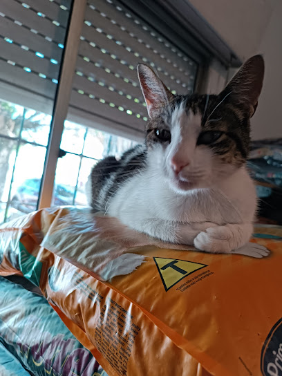 AF1QipMZDXo04DVkpr5yUhFL0aN8R wcGtpSmFm8My2lw408 h544 k no