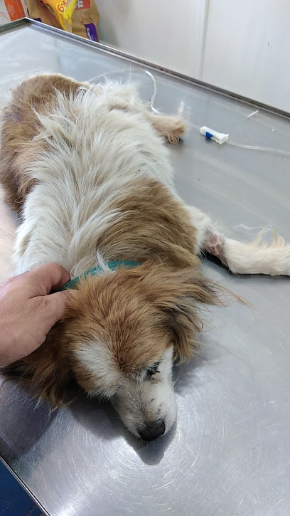 AF1QipMZJZn0kfaPXl9H GuTMkYtwaW iA39rhg3nkFfw408 h725 k no