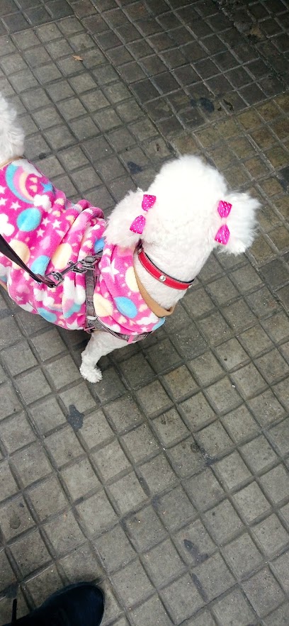 AF1QipMaeprkE DnxXRBbUcXYKcQZVs p3WxsetxeCcIw408 h883 k no