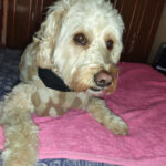 AF1QipMb6MWBCbphWGa1eGsKuX58aWbs11OTll0U5HPBw408 h544 k no