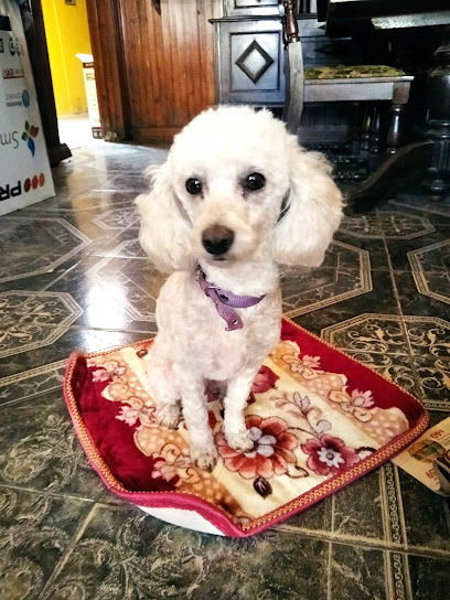 AF1QipMcSfLwCVZUVUatrgpw4 N5KA4OgT5oKUHh7nIw408 h544 k no