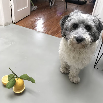 AF1QipMcYjimkDz8KbXnzs 3PXgcKEi0p7qN5Aldcqjkw408 h408 k no