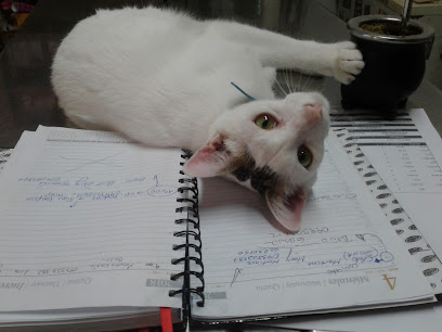 AF1QipMdqGcZlW wpYG6A kwvCzB8TBPqDlDl1F5QKJ7w408 h306 k no