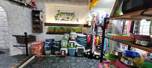 AF1QipMf7BpW7ZiheibHpq 5H9o3MNH9Ib0hKP fhFD w533 h240 k no