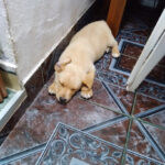 AF1QipMgnfYBKxK7pIuzde GQUfth3FAqDqY4qqCarPkw408 h544 k no