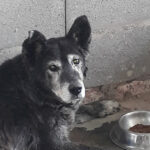 AF1QipMkPyApJM8MflKt8eHskvw3YA2TlbVm0SgBTA0ww408 h725 k no