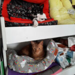 AF1QipMkmLbdsS9IR81iBPYPaBFP2Mb zj m58h08WGaw408 h544 k no