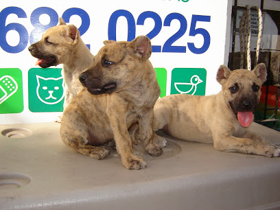 AF1QipMktfr3C73zl3jmDds5o vdLXGndzM1246VDcL7w408 h306 k no