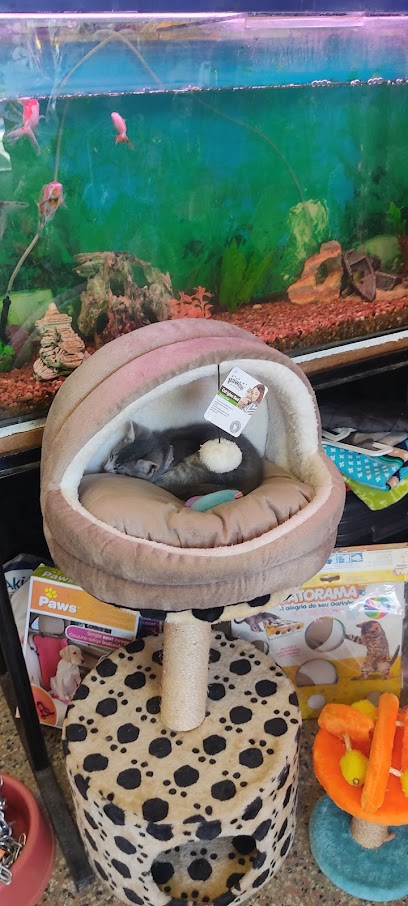 AF1QipMm3vWr 9HZ5evIg49xV1J k5ym5S0rWn U4C0vw408 h906 k no