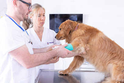 AF1QipMmBBijMHGcUDqm60cpaoCmJ BWjzPmKIydASZhw408 h272 k no