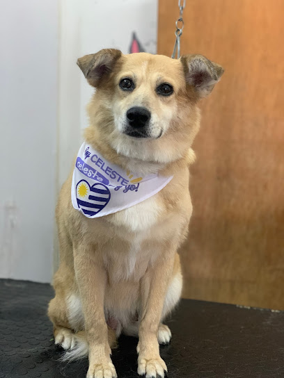 AF1QipMmTKgInF7 QaHL CXmADyqDSQWFExrpO1A rgw408 h544 k no