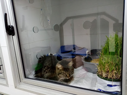 AF1QipMo8eGyYQ6gdrKk0weII3ciPZxyKJiCRsgUDGj1w408 h306 k no